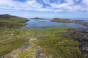 Naklejka na ściany i meble rocks and vegetation along Fogo Island coastline, Newfoundland; distant icebergs