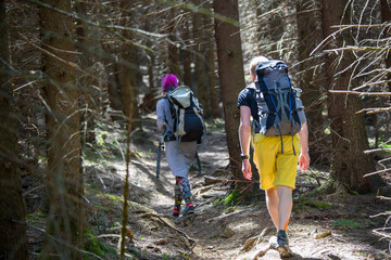 Hikers on a trail in a wood