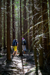 Obraz premium Hikers on a trail in a wood