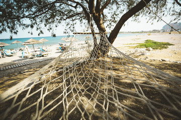 summer hammock and beach landscape 
