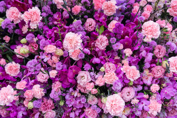 Various pink and purple flower background, top view