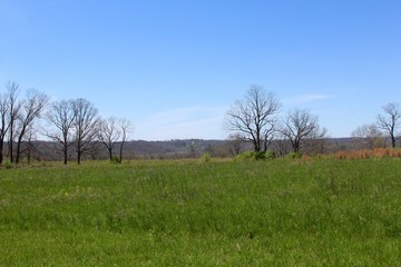 The green grass field in the country on a sunny day.