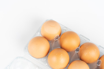 the pack of eggs in plastic packaging.