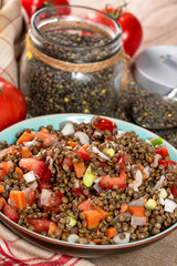 fresh lentil salad with tomatoes and onions
