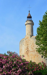 Fototapeta premium Medieval tower and fortress