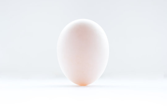 Duck eggs on a white background