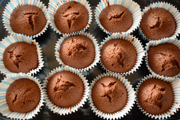 Home made Muffin with chocolate