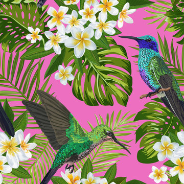 Floral Tropical Seamless Pattern with Exotic Flowers and Humming Bird. Blooming Plumeria Flowers, Birds and Monstera Leaves Background for Fabric, Wallpaper, Textile. Vector illustration