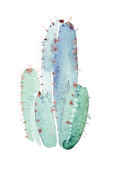 Watercolor hand drawn spiky cactus bloom flower
