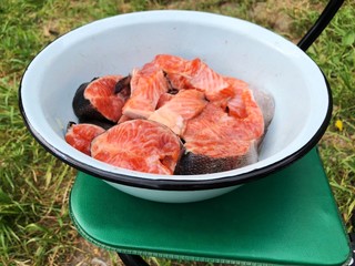 Fresh salmon fish with salt in a white plate 