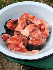 Fresh salmon fish with salt in a white plate 