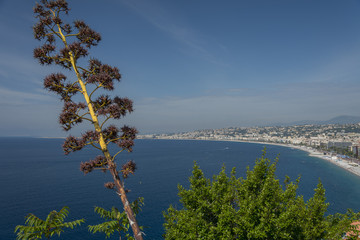 Baie des anges Nice