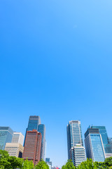Fototapeta premium 初夏の高層ビル群 High-rise building in Tokyo
