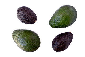 Avocado isolated on white background.