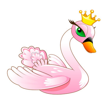 The pink swan