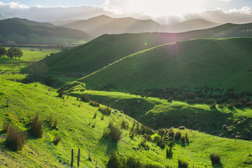 Sublime light after rain in New Zealand