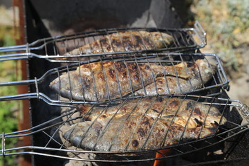 Fish grill / There are fish on the grill and grilled. An raw freshwater fish on the grill. Cooked in traditional style. Cooking of salted fish on a grill stove.