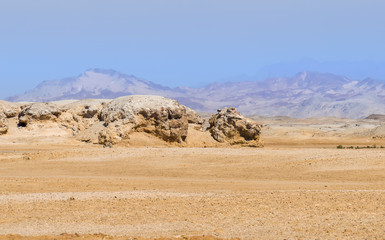 natural creation, wind and water created from sandstone gogolovu lion, a natural sculpture against the background of a dense landscape and mountains in the background, Ras Mohamed, Egypt