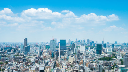 Obraz premium 東京風景