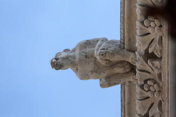 Fototapeta premium Gargoyle, detail on the facade of the Zagreb cathedral, Croatia 