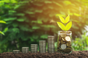 Coins or money in glass jar with young plant on top put on the wooden plate,in soft nature  background for business, saving,finance concept also some coins beside. - Powered by Adobe