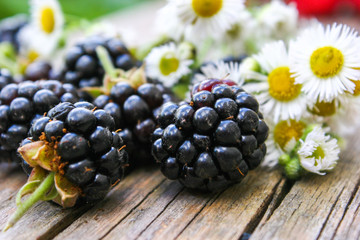 Blackberry scattered on a wooden background. Fresh, ripe blackberries. Bramble. Dewberry. 