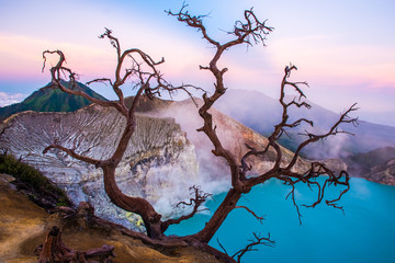 Kawah Ijen volcano with trees during beautiful sunrise in East Java, Indonesia