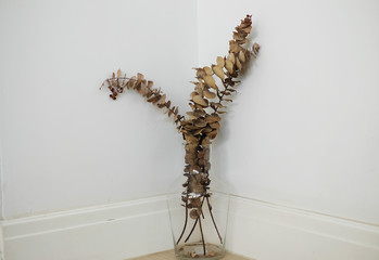 Old flower in a glass vase on white background.