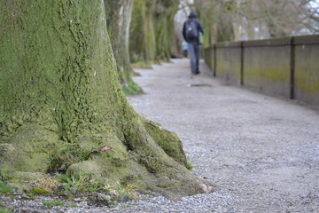 Mann mit Rucksack beim Wandern