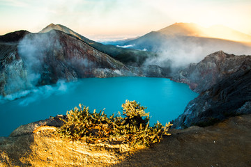 Kawah Ijen volcano with trees during beautiful sunrise in East Java, Indonesia