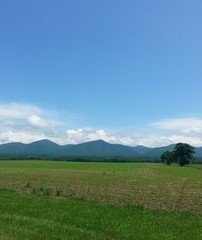 Fototapeta na wymiar Virginia farmland