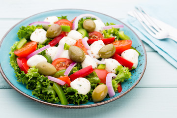 Vegetable salad with cheese mozzarella, tomatoes, basilikum and spice.