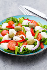 Vegetable salad with cheese mozzarella, tomatoes, basilikum and spice.