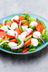 Vegetable salad with cheese mozzarella, tomatoes, basilikum and spice.