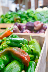 Sweet bell peppers at the summer outdoor farmers market. Healthy and local food and community concept