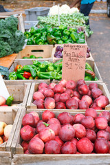 Apples at the summer outdoor farmers market. Healthy and local food and community concept