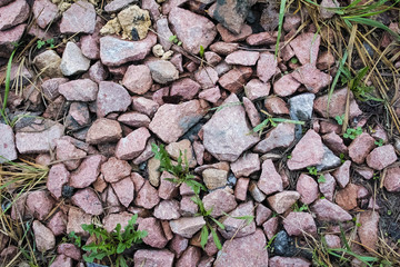 Stones with germinating grass