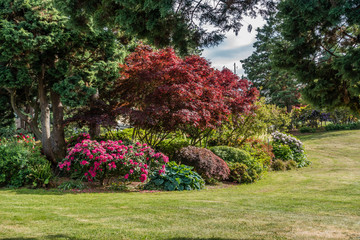 Park Flora Landscape