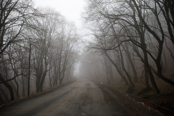 Landscape with beautiful fog in forest on hill or Trail through a mysterious winter forest with autumn leaves on the ground. Road through a winter forest. Magical atmosphere. Azerbaijan