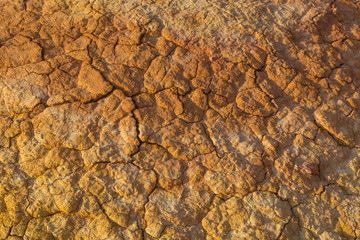 Cracked dry red soil with saline soil in Eastern Kazakhstan
