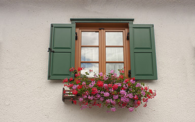 Fototapeta na wymiar old house window with beautiful flowers