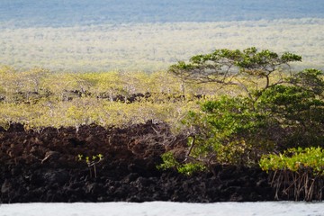 Galapagos trip