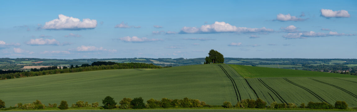 Panorama Of Wittenham Clumps.