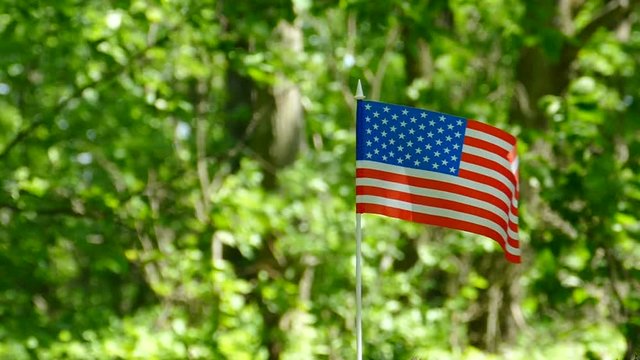 American Flag in slow motion, Forest green  blurred background