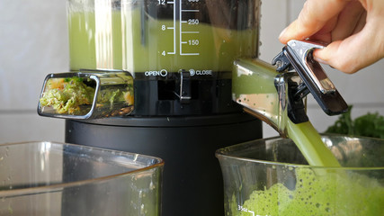 Process of extracting fresh juice from apple and mint