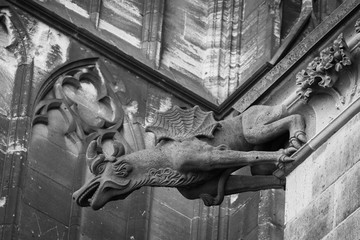 Gargoyles are very typical for Gothic churches. They are on one hand just waterspouts to prevent rainwater form running down masonry walls, on the other hand they are fantastical sculptures.