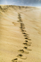 Footprints going, over the sand, to an infinite horizon at Tunquen  Beach, Chile