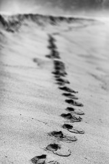 Footprints going, over the sand, to an infinite horizon at Tunquen  Beach, Chile
