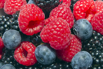 Lamponi, More, Mirtilli, Frutti di Bosco,Raspberries, Blackberries, Blueberries, Berries