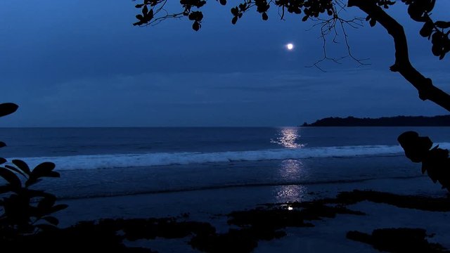 Full moon on a Caribbean Beach.  White wake on the waves of the sea in the tropics. Waves breaking on the shore in the light of the moon.
